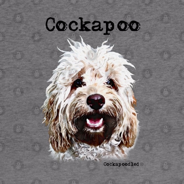 Champagne Blonde Cockapoo / Spoodle and Doodle Dog by WoofnDoodle 